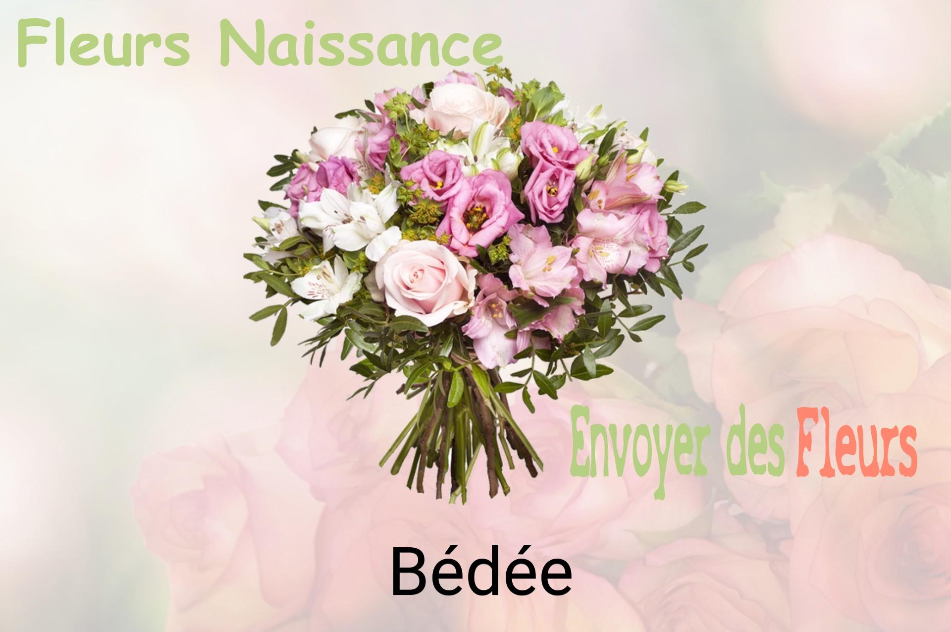 Bouquet de fleurs de naissance livré à Bédée